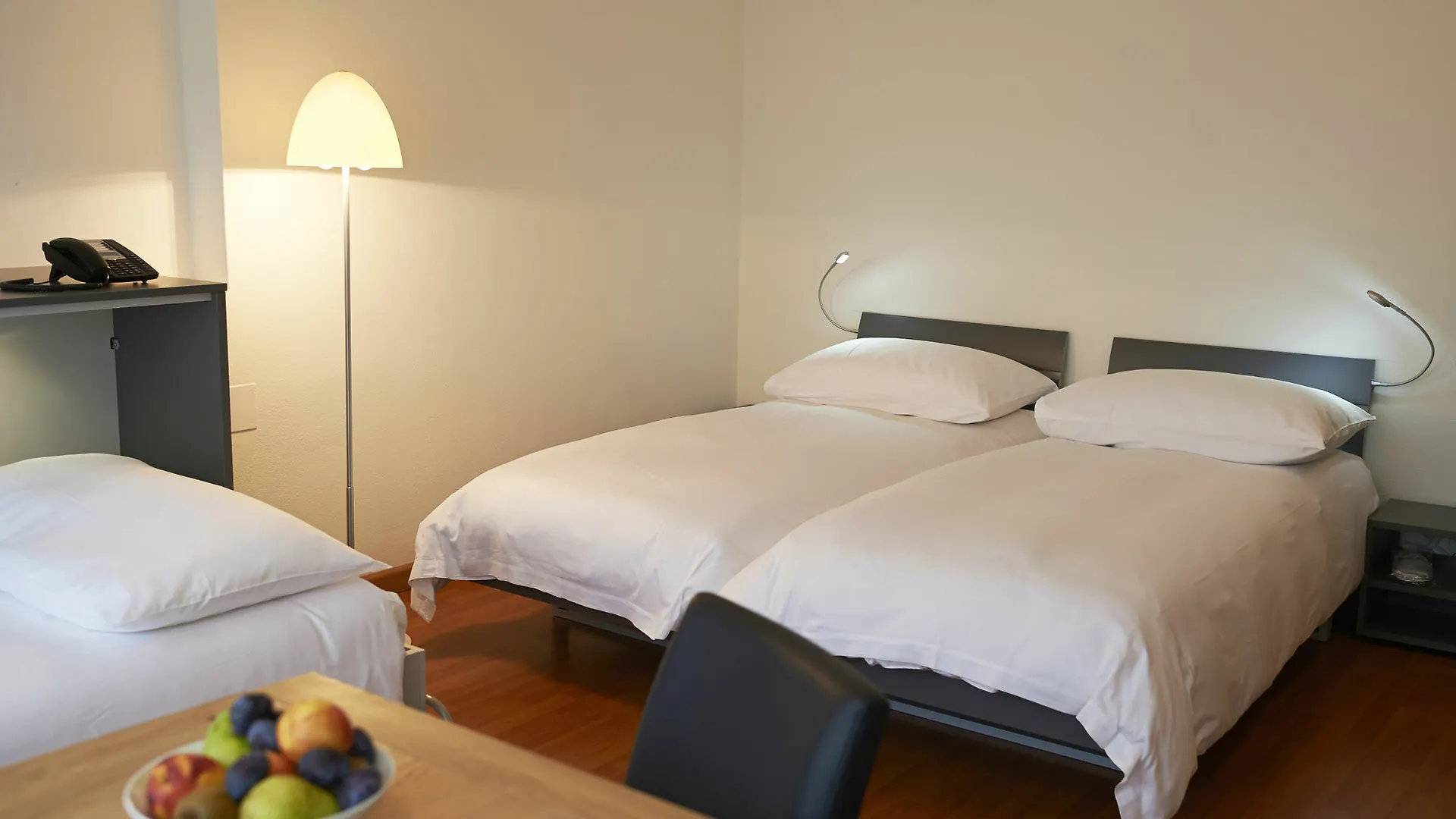 Congress Apartments By Hotel Du Commerce Basel Schweiz